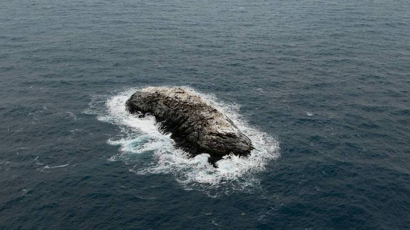 Alimlər okeanda yeni ada kəşf etdi