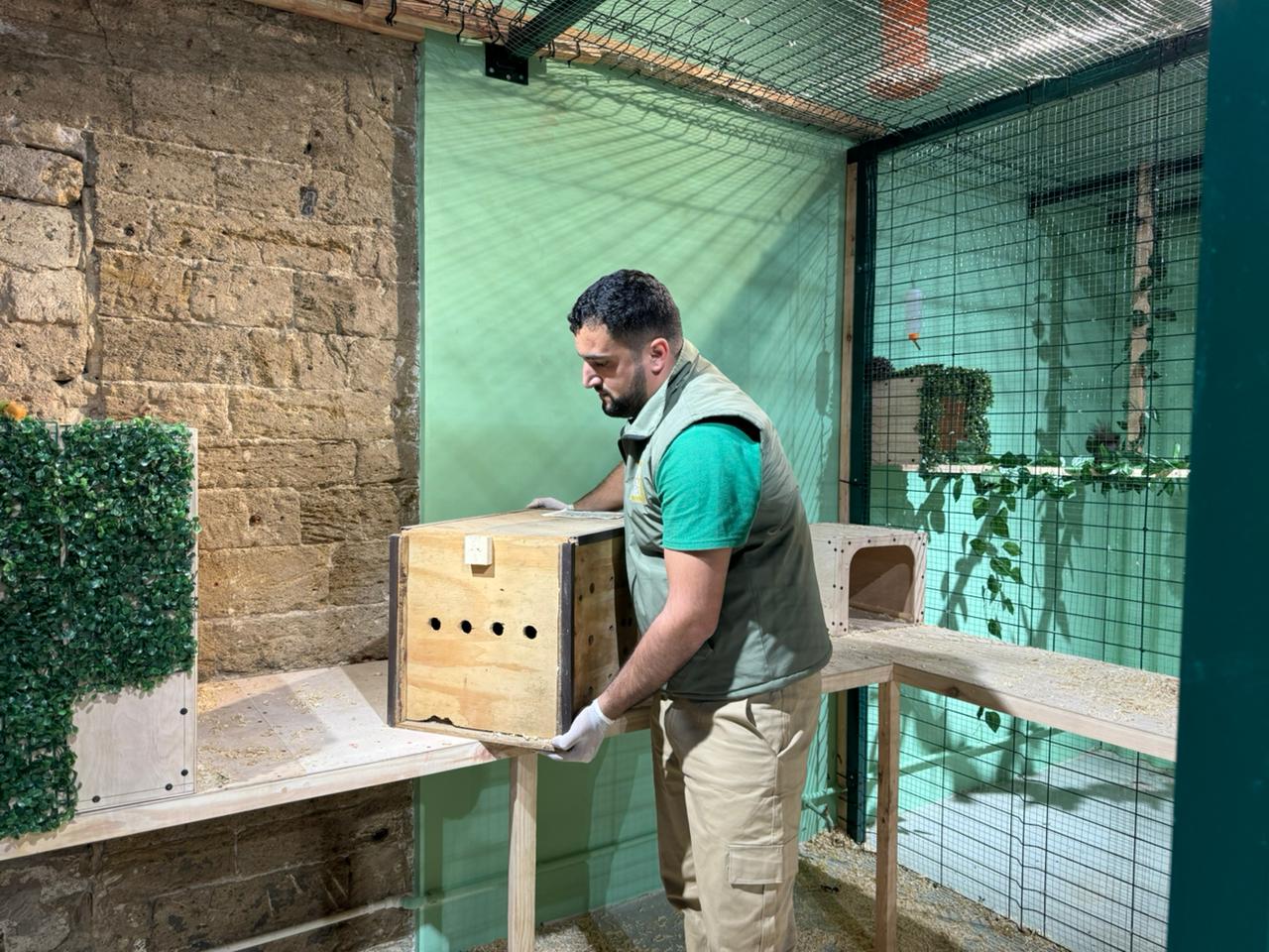 Qanunsuz saxlanılan vəhşi heyvanlar xilas edildi (FOTO)