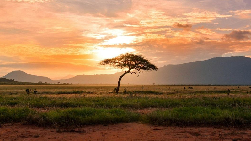 Afrika iki hissəyə bölünə bilər: Alimlər yeni okeanın yaranmasını istisna etmir