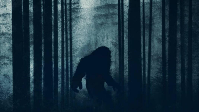 1977-ci ildə görünən 