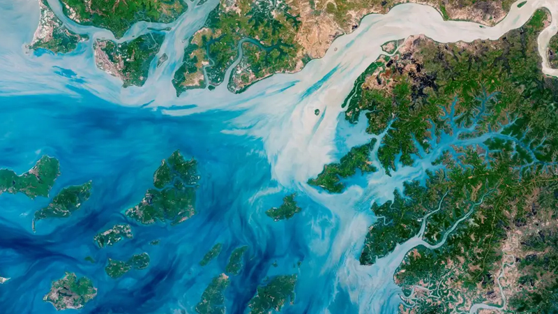 Okeanlar planetin hər yerində qaralır - Nə baş verir?