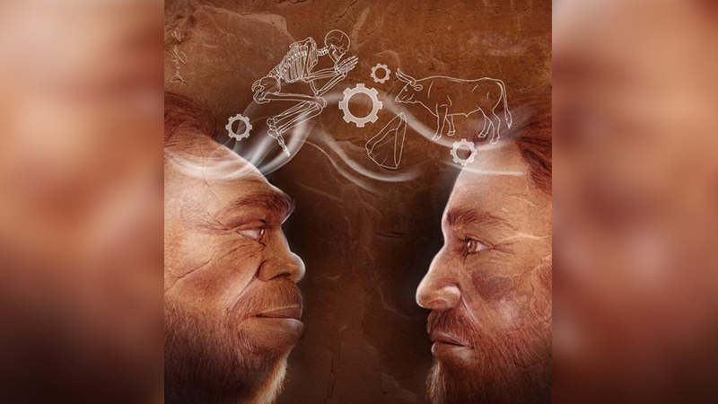 Neandertallar antibiotiklərdən 200 min il əvvəl yaraları dezinfeksiya ediblər