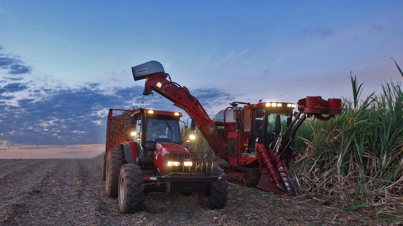 FAO: Dünyada ərzaq qiymətləri artmağa davam edəcək