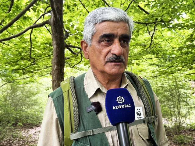 Hirkan meşələrində gizli həyat: Fototələlərdən nadir görüntülər