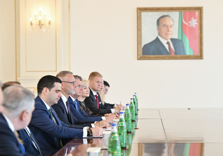Prezident Slovakiya Milli Şurası sədrini qəbul etdi (FOTO)