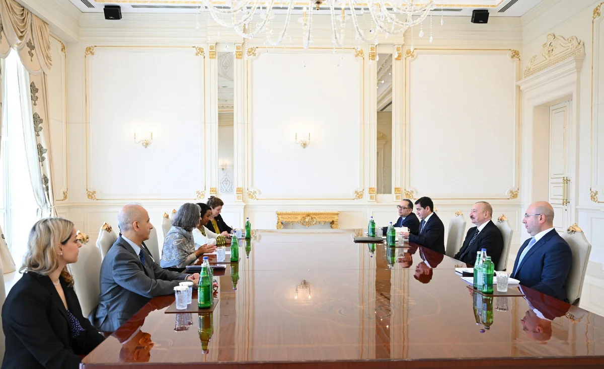 Prezident İlham Əliyev BMT-nin Məskunlaşma Proqramının icraçı direktorunu qəbul etdi (FOTO)
