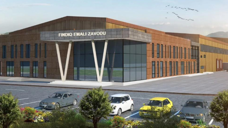 Zaqatala Fındıq Emalı və Tədarükü Zavodu ilə bağlı 287 minlik dələduzluq