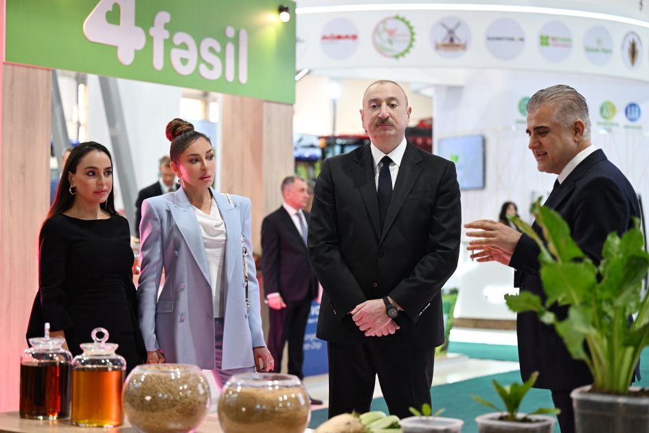Prezident və birinci xanım Bakıda keçirilən sərgilərlə tanış oldu (FOTO)