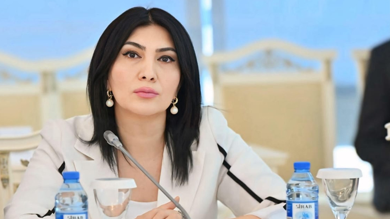 Qafqazda sülhün bərpası: İlham Əliyev Avropaya siyasət dərsi keçdi