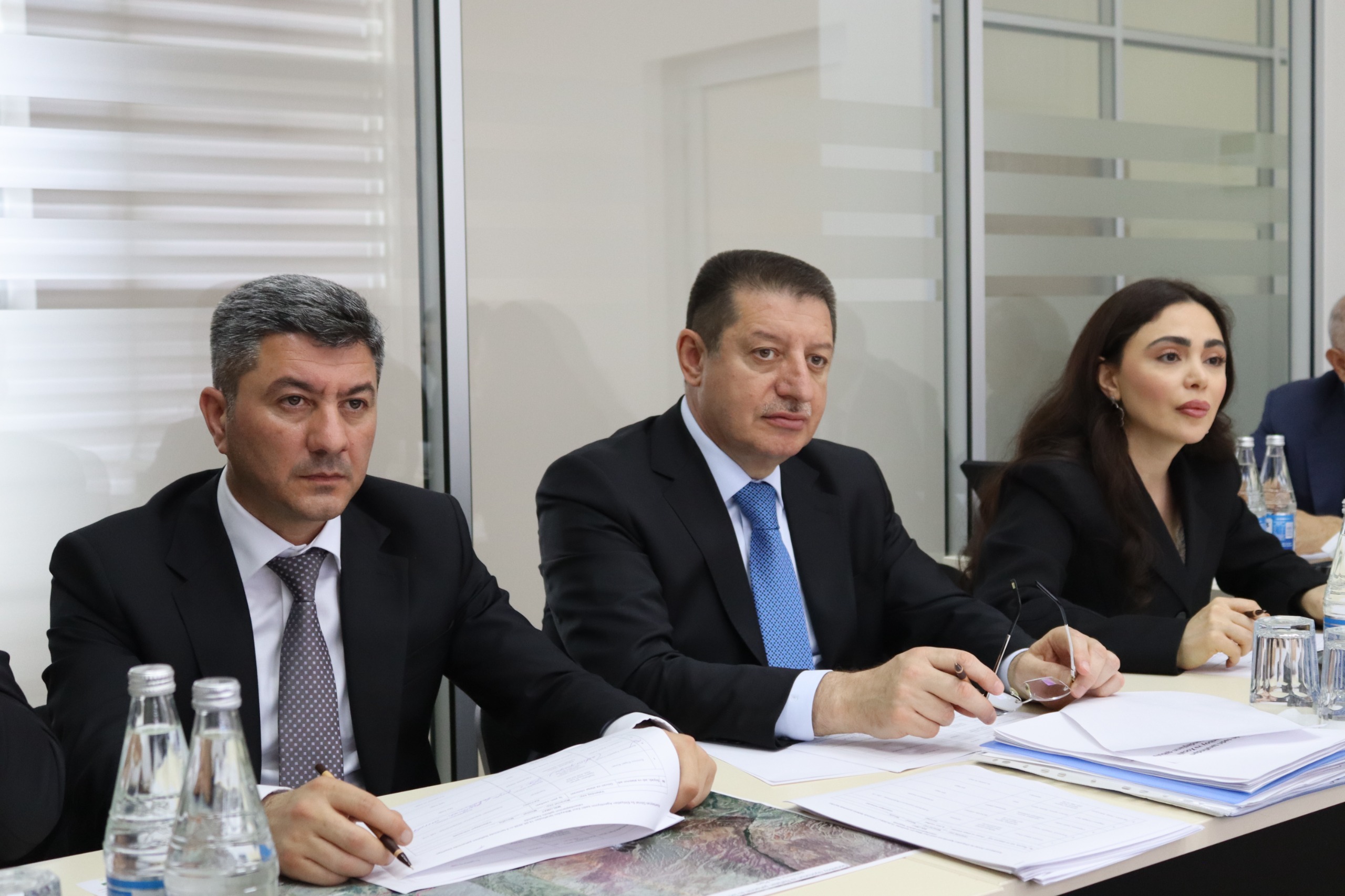 ADSEA sədri Naftalan şəhərində vətəndaşlarla görüşdü (FOTO)