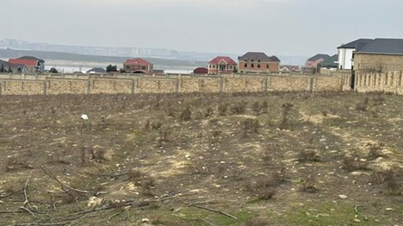 Tap.az-da saxta torpaq elanları ilə dələduzluq
