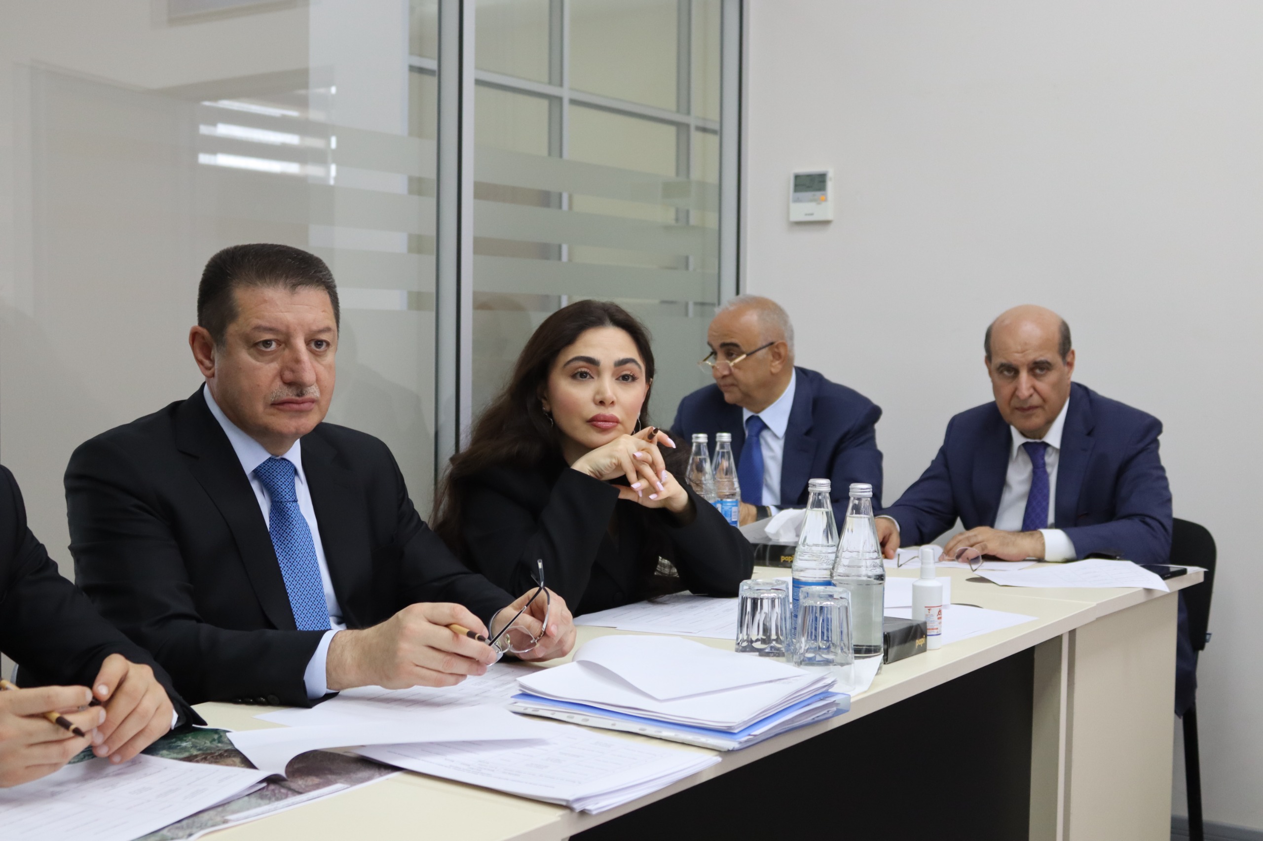 ADSEA sədri Naftalan şəhərində vətəndaşlarla görüşdü (FOTO)