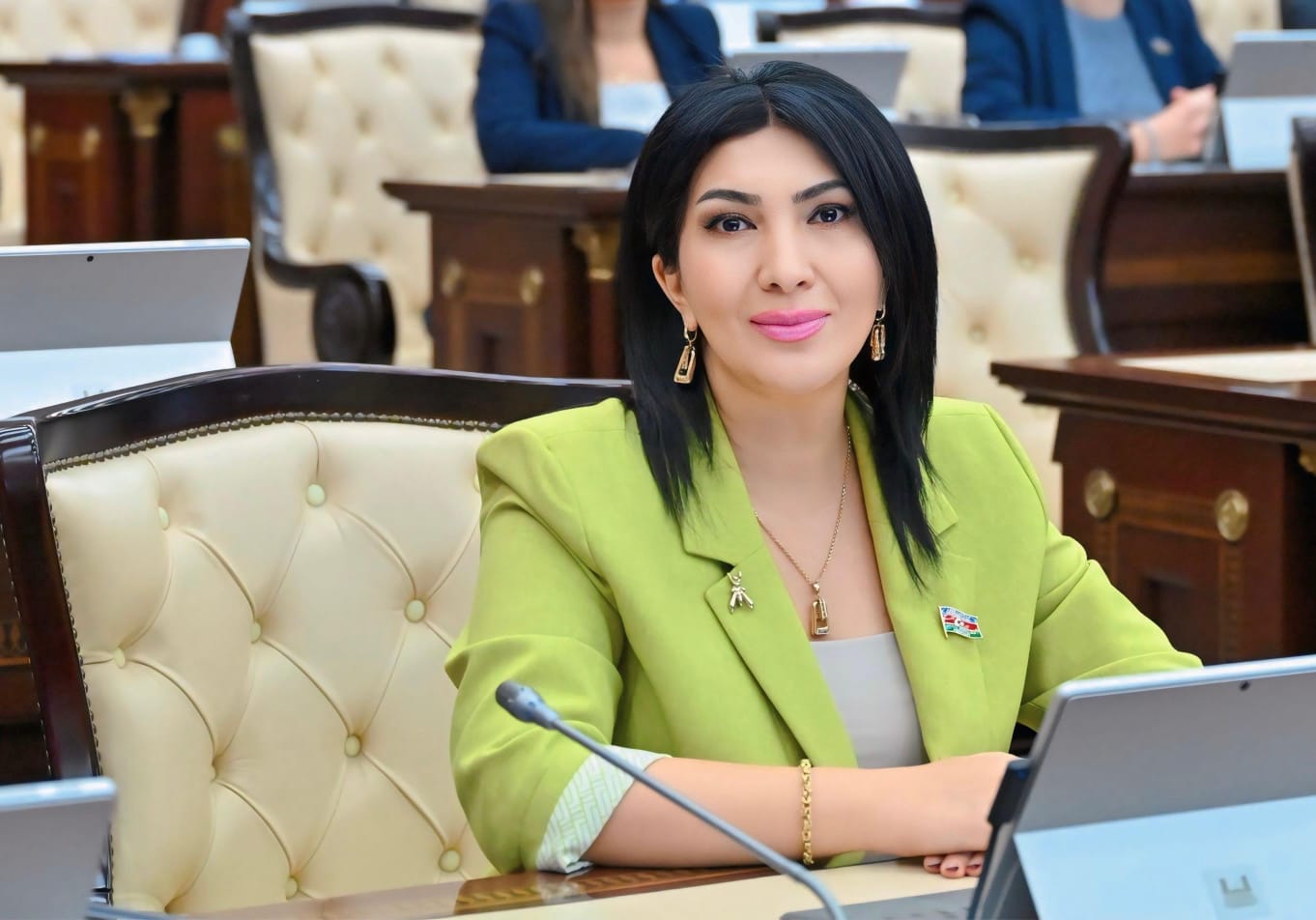 Milli Məclisdə çağırış: Şəhərlər böyüsün, amma kəndlər boşalmasın!