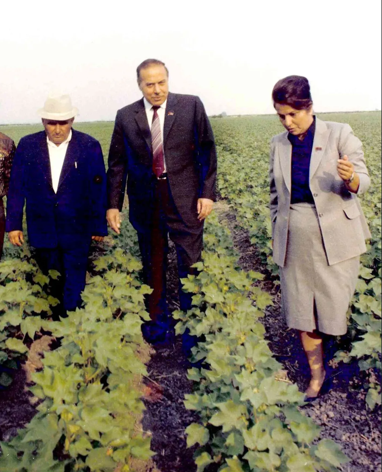 Almaz Hacıyeva vəfat etdi (FOTO)