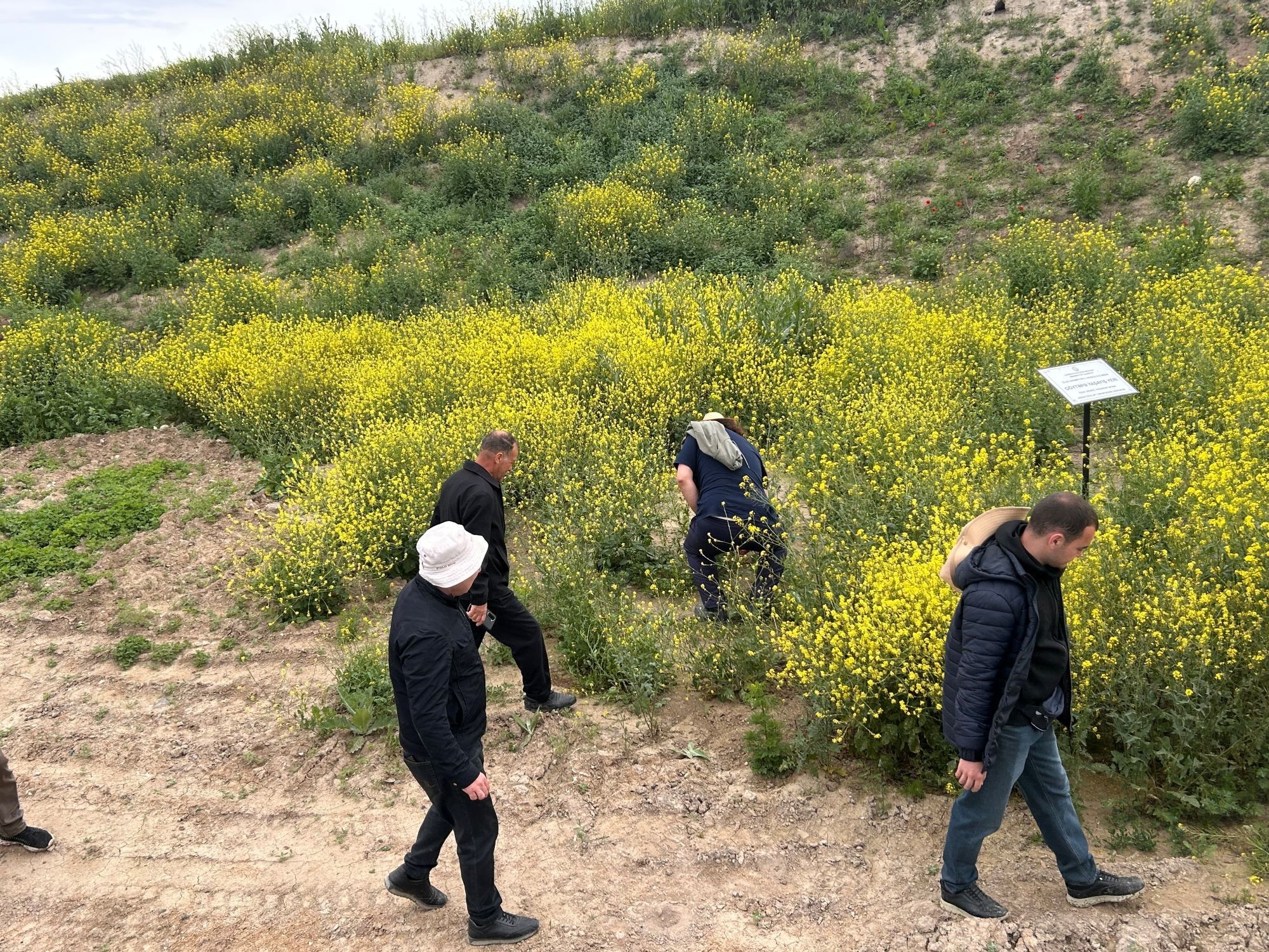 Ağdərə və Ağdamda yeni arxeoloji abidələr aşkar edildi (FOTO)