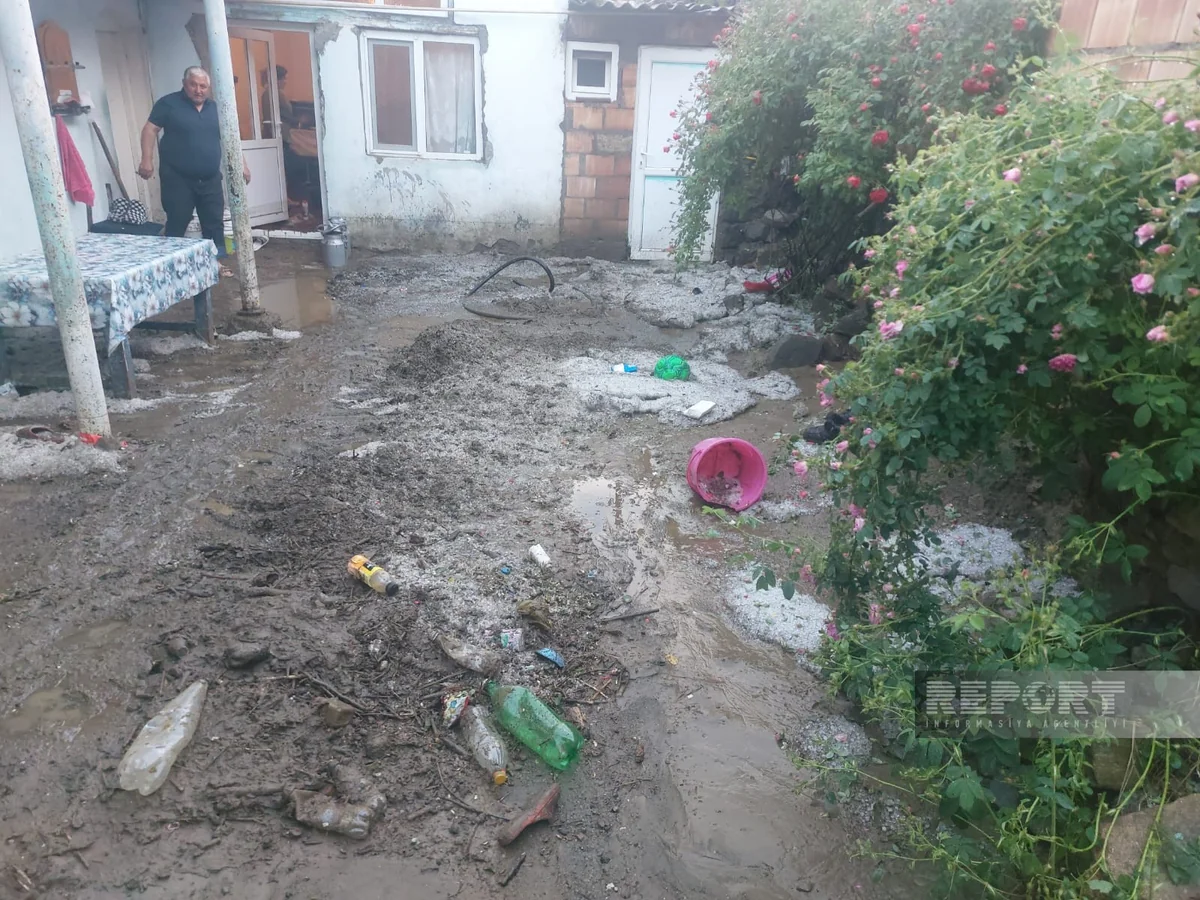 Daşkəsəndə güclü sel: 70-dən çox heyvan tələf oldu (FOTO)