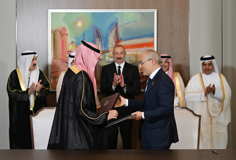 Prezident Ərəb Koordinasiya Qrupunun nümayəndələrini qəbul etdi (FOTO)
