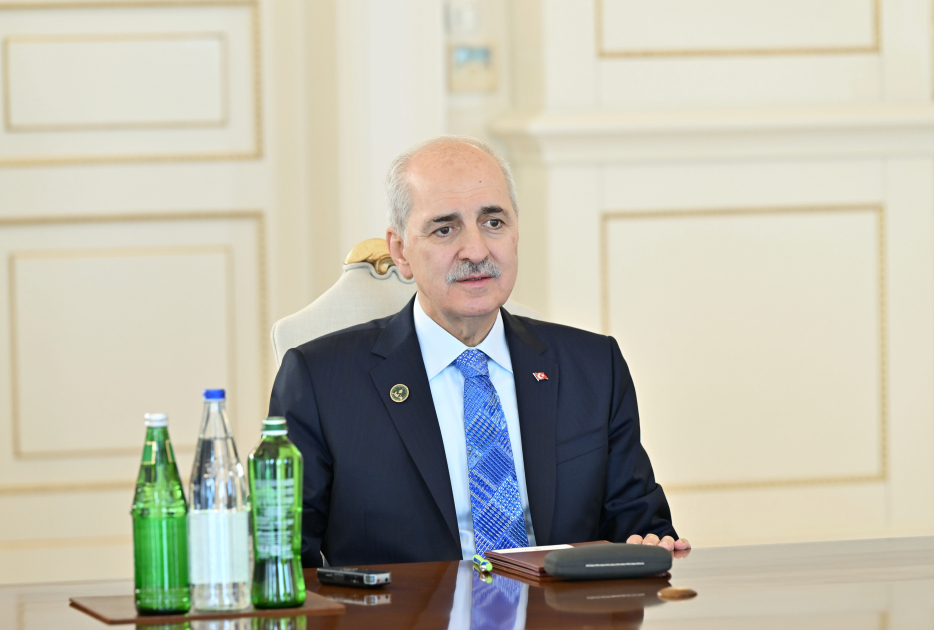 Prezident TBMM sədrinin rəhbərlik etdiyi nümayəndə heyətini qəbul etdi (FOTO)