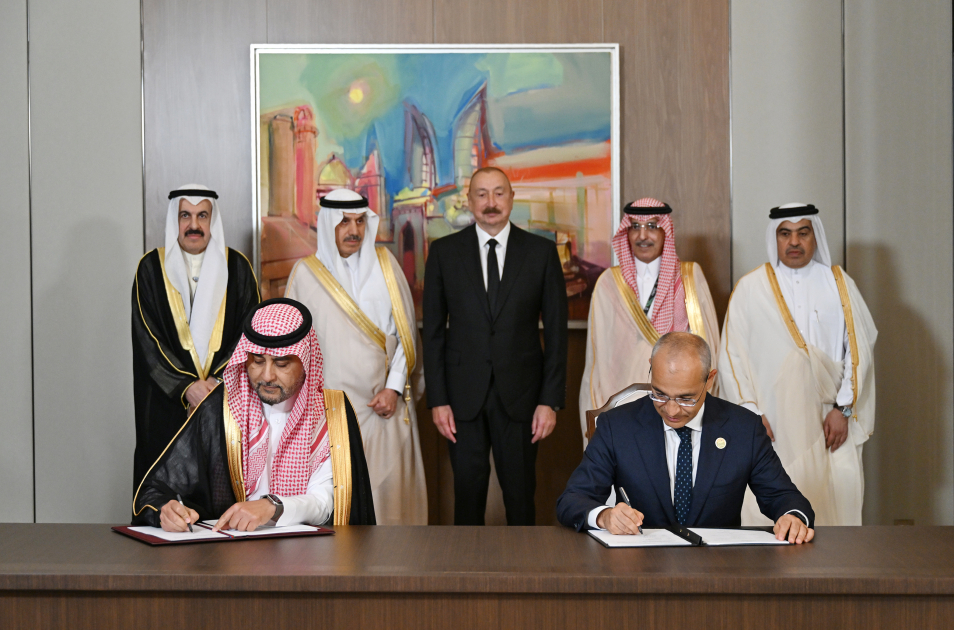 Prezident Ərəb Koordinasiya Qrupunun nümayəndələrini qəbul etdi (FOTO)