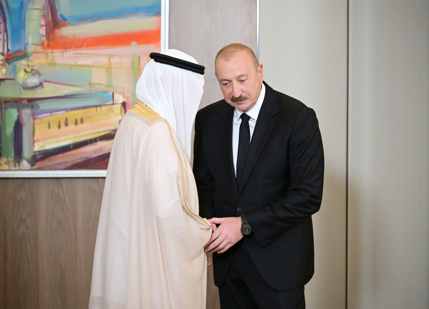 Prezident Ərəb Koordinasiya Qrupunun nümayəndələrini qəbul etdi (FOTO)