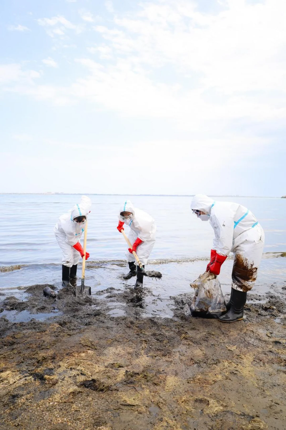 Leyla Əliyevanın təşəbbüsü ilə Xəzər sahilinin neft tullantılarından təmizlənməsi davam etdirilir (FOTO)