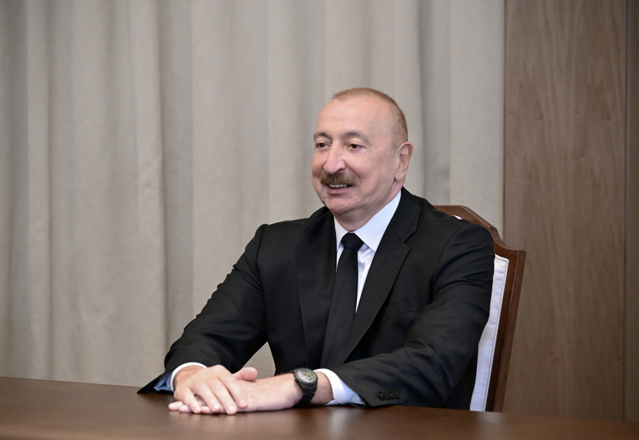 Prezident Ərəb Koordinasiya Qrupunun nümayəndələrini qəbul etdi (FOTO)