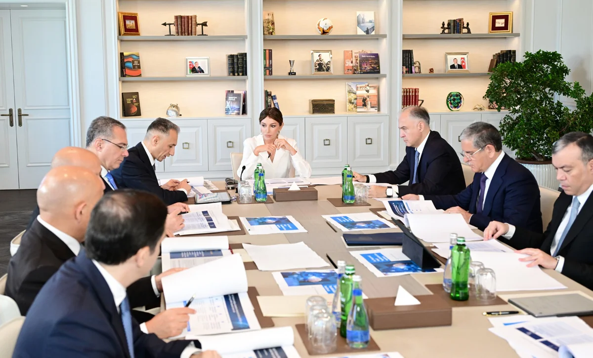 Mehriban Əliyevanın sədrliyi ilə Rəqəmsal İnkişaf Şurasının ilk iclası keçirildi (FOTO)