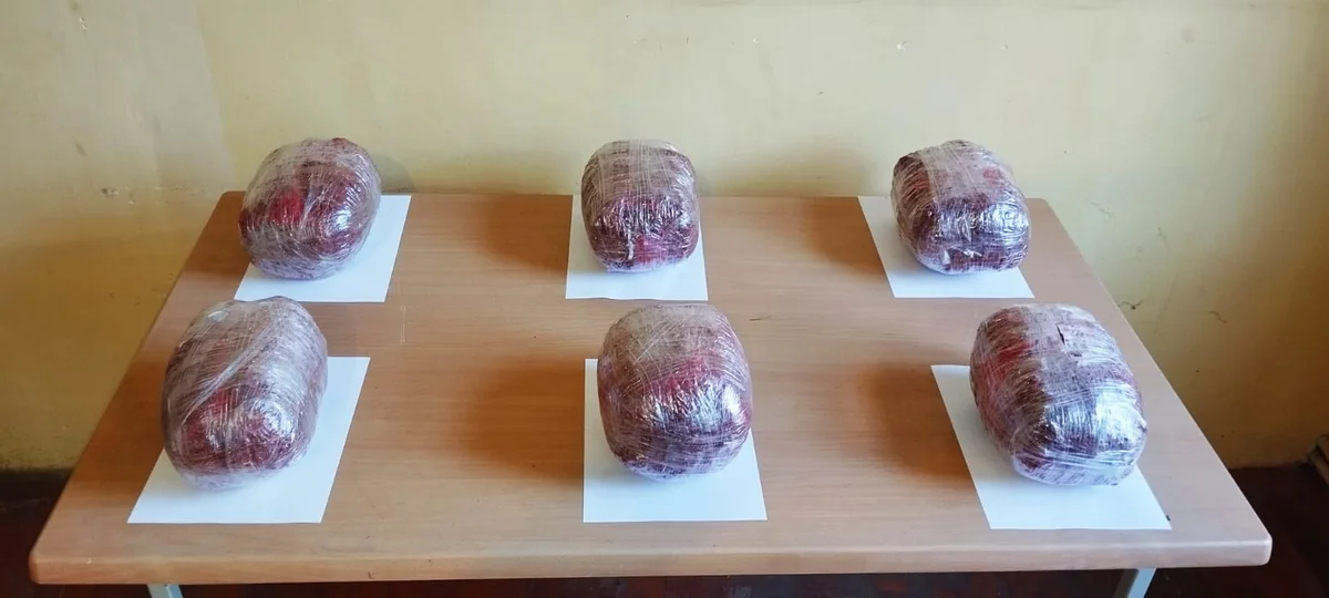 İrandan 41 kq narkotikin keçirilməsinin qarşısı alındı, PUA zərərsizləşdirildi (FOTO)