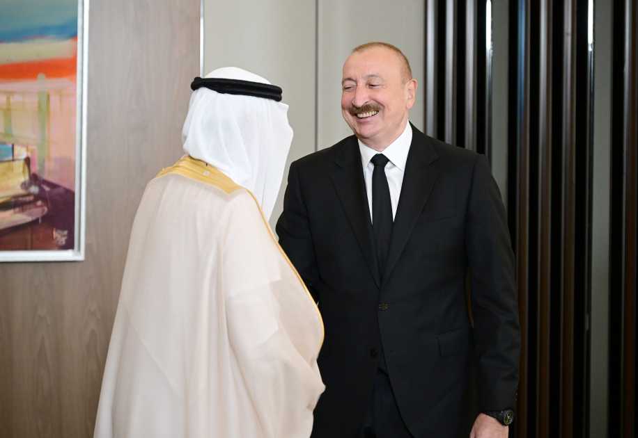 Prezident Ərəb Koordinasiya Qrupunun nümayəndələrini qəbul etdi (FOTO)