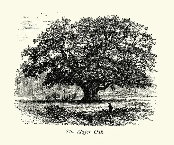 12 əsrlik əfsanə 