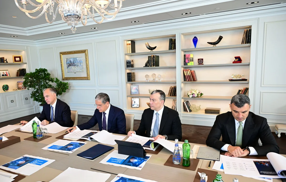 Mehriban Əliyevanın sədrliyi ilə Rəqəmsal İnkişaf Şurasının ilk iclası keçirildi (FOTO)