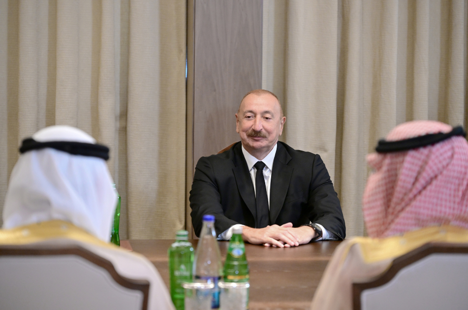 Prezident Ərəb Koordinasiya Qrupunun nümayəndələrini qəbul etdi (FOTO)