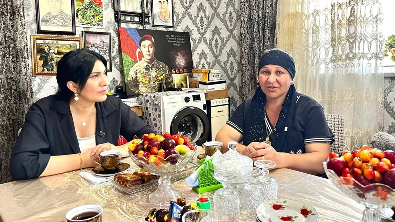 Deputat Elnarə Akimova şəhid və qazi ailələrini ziyarət etdi (FOTO)