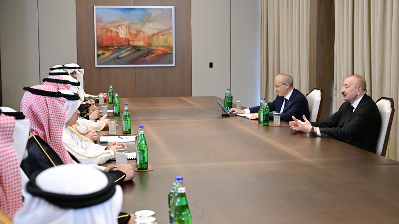 Prezident Ərəb Koordinasiya Qrupunun nümayəndələrini qəbul etdi (FOTO)