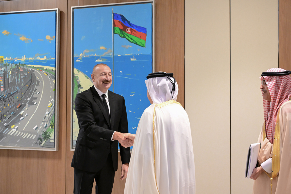 Prezident Ərəb Koordinasiya Qrupunun nümayəndələrini qəbul etdi (FOTO)