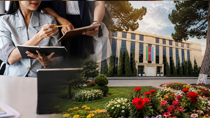 Sumqayıt İcra Hakimiyyəti hər il xanım sahibkardan gül alır - 280 minlik tender