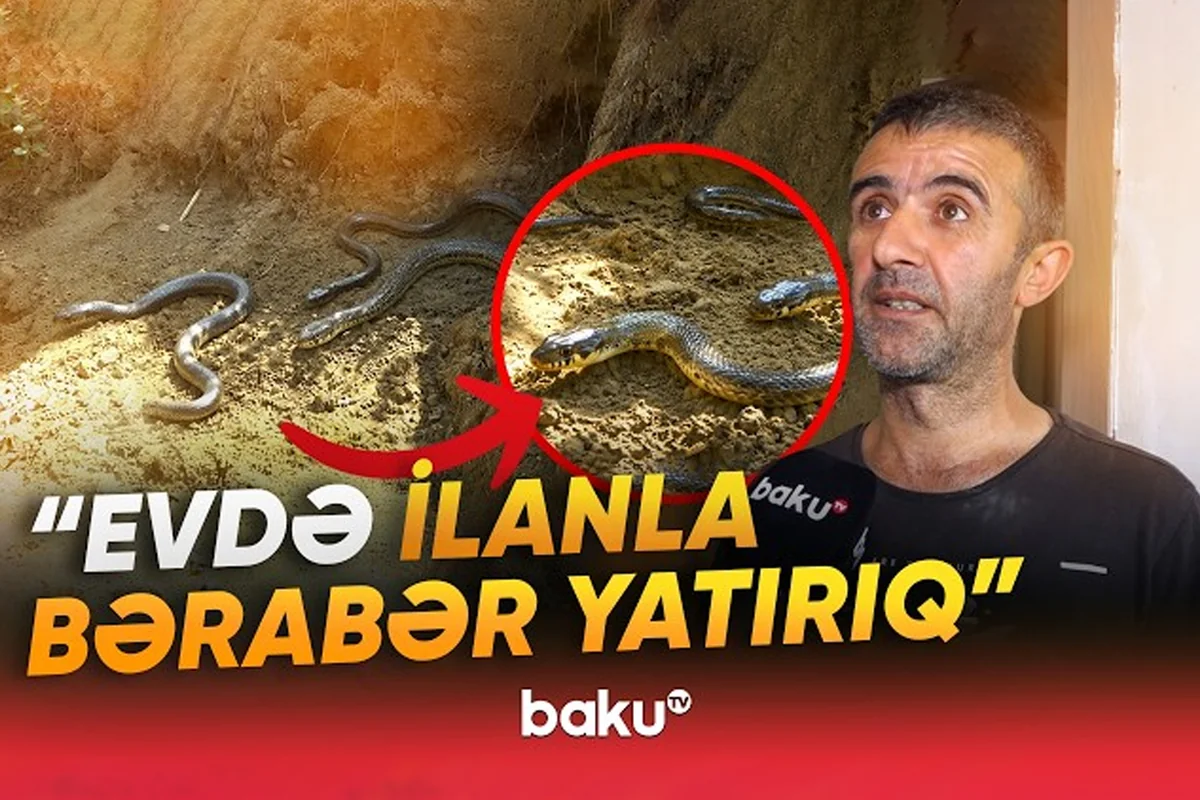 Binəqədidə torpaq sürüşməsindən sonra evlər qəzalı vəziyyətdə: 