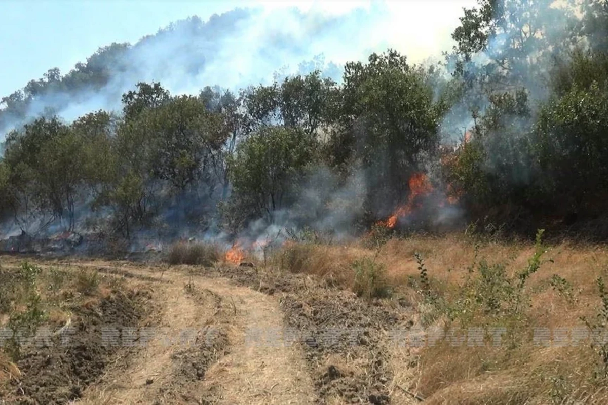 Kəngərli kəndində açıq ərazidə yanğın başlayıb