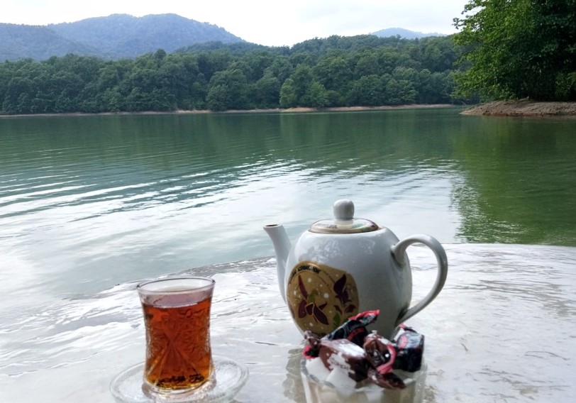 Giriş 2 manat, çay 20 manat… (FOTO)