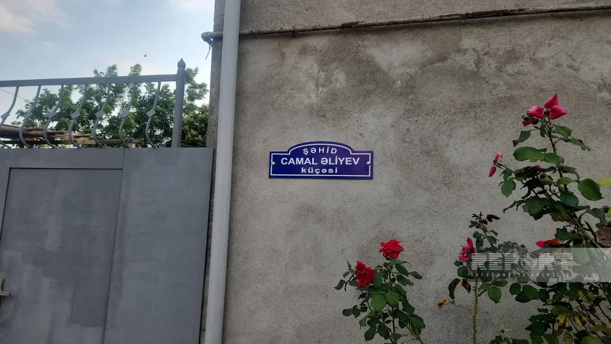 Cəlilabadda beş küçəyə şəhidlərin adı verildi