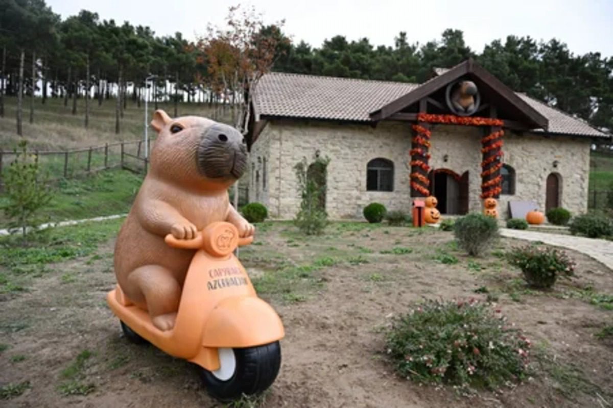 Leyla Əliyeva Şamaxıda "Capybara Azerbaijan" fermasında oldu (FOTO)