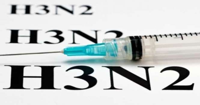 Azərbaycanda da yayılan H3N2 virusundan dünyada yarım milyon adam ölüb