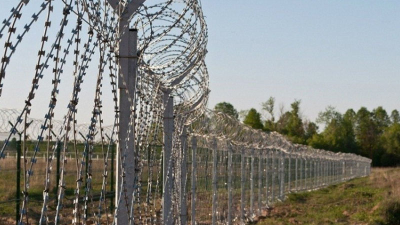 Gürcüstan-Azərbaycan sərhədində insident: saxlanılan var
