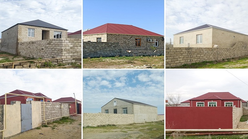 Asan qazanc hərisliyi COVID-19-dan daha yaşlı və qorxuludur (ARAŞDIRMA)