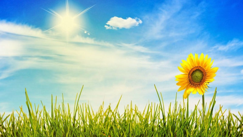 Avqustun hava proqnozu açıqlandı