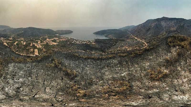 Bodrum və Milas qara rəngə boyandı: Ürək dağlayan görüntülər (VİDEO/ FOTO)