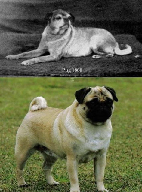 Bax, amma diqqətlə... - FOTOLAR