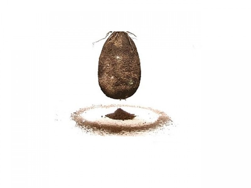 Artıq heç kimin məzar daşı olmayacaq - FOTOLAR