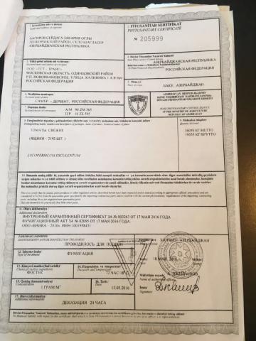 Azərbaycanla Rusiya arasında pomidor qalmaqalı - FOTO