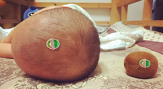 Yaratıcılığın çıtası arşa değdi.